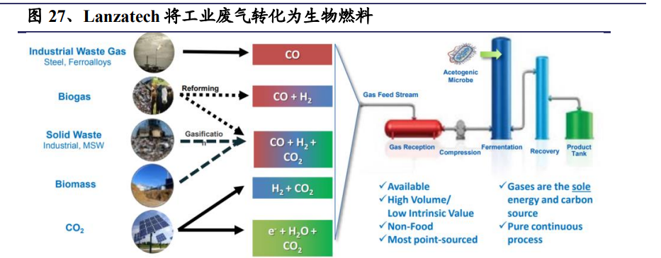 合成生物学深度报告 推陈出新，欣欣向荣——气体生物技术的突破与应用